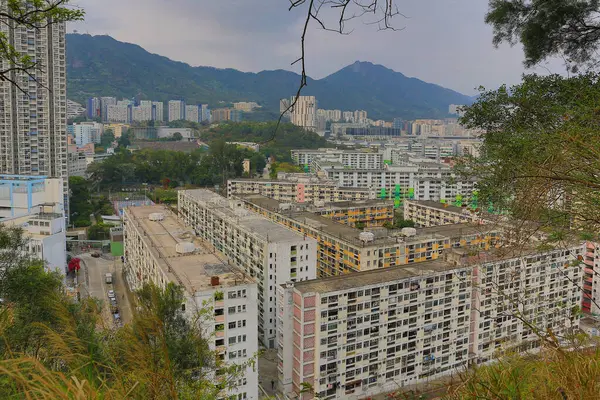 Tai Hang Sai Malikanesi, Hong Kong 22 Mart 2015