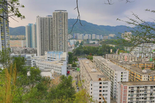 Tai Hang Sai Malikanesi, Hong Kong 22 Mart 2015