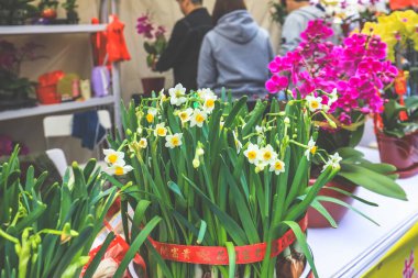 Hong Kong İşletme Depresyonu, Night Vibes Hong Kong 9 Şubat 2024