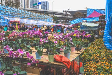 9 Şubat 2024 Kwun Tong 'da Ay Yeni Yıl Fuarı