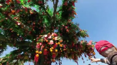 Honk Kong - 11 Şubat 2024: Lam Tsuen dilek ağaçları, Tai Po, HK