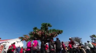 Honk Kong - 11 Şubat 2024: Lam Tsuen dilek ağaçları, Tai Po, HK