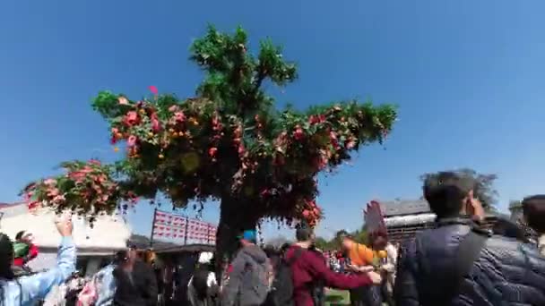 Honk Kong Februari 2024 Kerumunan Merayakan Dengan Lam Tsuen Pohon — Stok Video