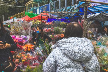 9 Şubat 2024 Hong Kong Yeni Yıl Çiçek Pazarları,