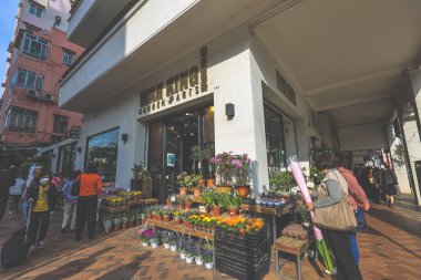 15 Şubat 2024 Hong Kong Çiçek Pazarı Mong Kok.