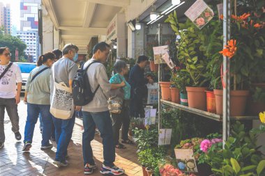15 Şubat 2024 Hong Kong Çiçek Pazarı Mong Kok.