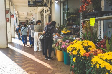 15 Şubat 2024 Hong Kong Çiçek Pazarı Mong Kok.