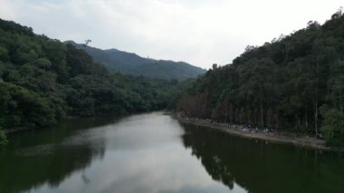 Hong Kong 20 Ocak 2024 Lau Shui Heung Reservoir gölet kıyısı bir sonbahar ormanı arasında