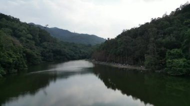 Hong Kong 20 Ocak 2024 Lau Shui Heung Reservoir gölet kıyısı bir sonbahar ormanı arasında