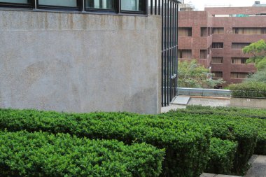 Hong Kong Üniversitesi kampüsü 28 Şubat 2015