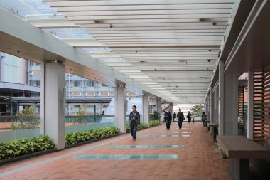 28 Şubat 2015 'te Hong Kong Üniversitesi' nin koridorunda.