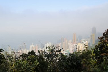 Lung Fu Shan Country Park, Hong Kong Feb 28 2015 clipart
