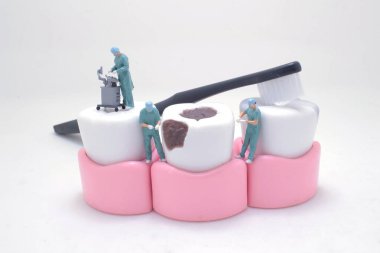 Ağız temizliği, yapay model diş, diş fırçalama.