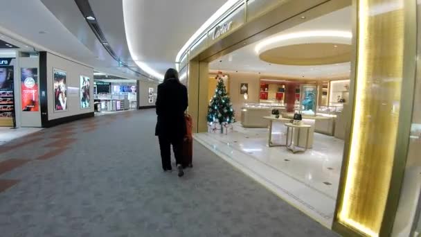 Japón Noviembre 2023 Aeropuerto Narita Lleno Gente Aeropuerto Japón — Vídeos de Stock
