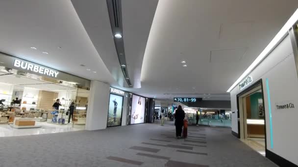 Japán November 2023 Zsúfolt Narita Repülőtér Japán Repülőtér — Stock videók