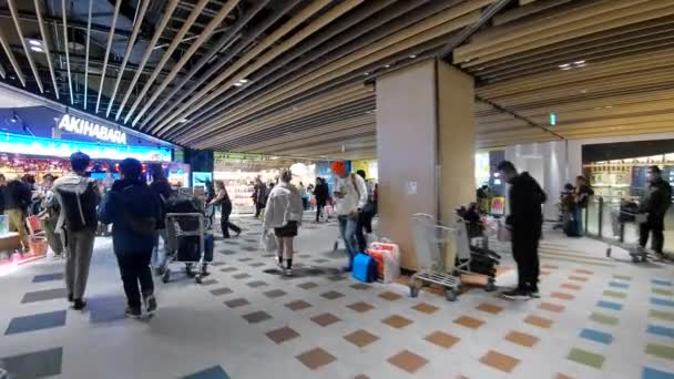 Japan November 2023 Crowded Narita Flygplats Japan Flygplats — Stockvideo