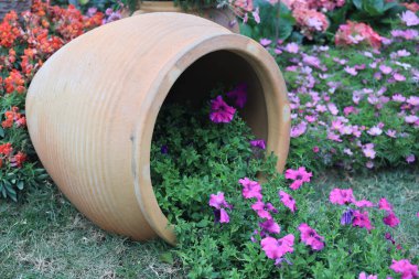 Kaynağında düşen saksıları olan bir çiçek.