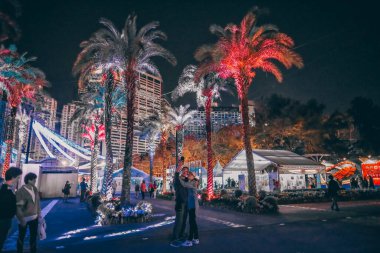 Gül, çelenk ve fenerle dolu romantik bir bahçe.