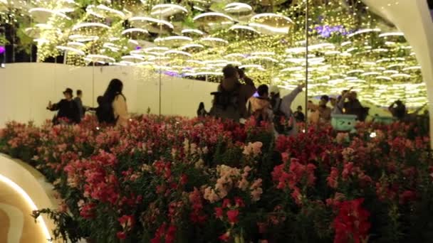Honk Kong Maart 2024 Floral Joy Tow Bloemenshow — Stockvideo