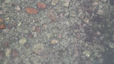 Hong Kong - 29 Mart 2024: Rocky Bay Sahili, denizdeki kaya oluşumunun insansız hava aracı görüntüsü  