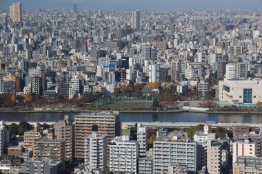 Kuleden Tokyo silueti. Sumida. Tokyo mu? Japonya. 30 Kasım 2023