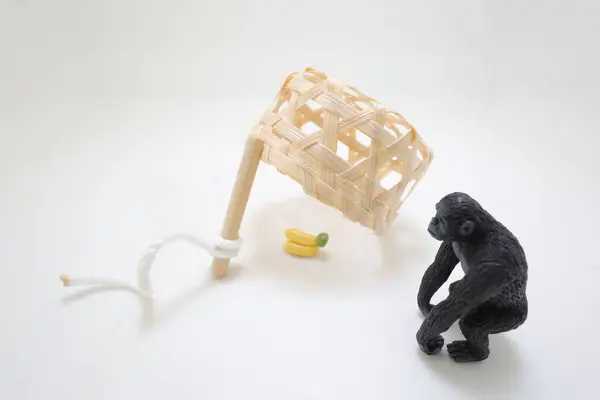 stock image A scale trap that catches the ape