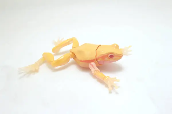 stock image The Captivating White Paneled Frog, scale toy figure