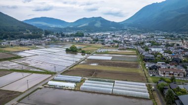 15 Mayıs 2024 Yufuin kasabasından, Oita Bölgesi, Kyushu, Japonya