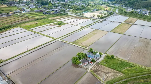 stock image May 15 2024 rice field from Yufuin town, Oita Prefecture, Kyushu, Japan