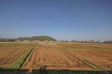 Fukuoka 'daki saha manzarası, Japonya 16 Mayıs 2024