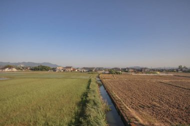 Fukuoka 'daki saha manzarası, Japonya 16 Mayıs 2024