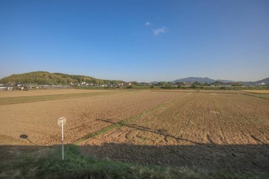 Fukuoka 'daki saha manzarası, Japonya 16 Mayıs 2024