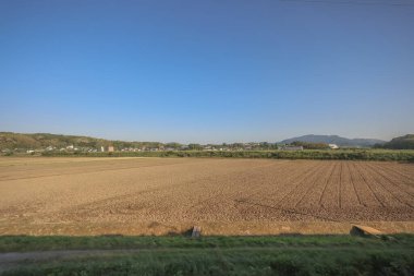 Fukuoka 'daki saha manzarası, Japonya 16 Mayıs 2024