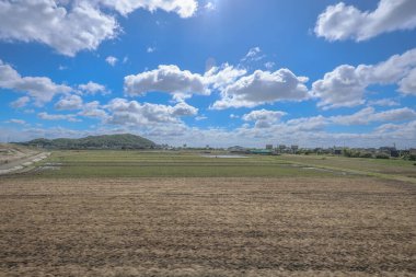 Fukuoka 'daki saha manzarası, Japonya 16 Mayıs 2024