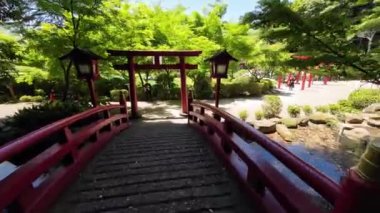 Japonya - 16 Mayıs 2024: Beppu, Japonya Umi Jigoku sıcak pınarı, Beppu, Oita 