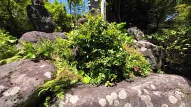 Oita, Japonya - 16 Mayıs 2024: Shiraike Jigoku Beppu Jigoku Meguri 