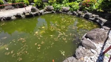 Oita, Japonya - 16 Mayıs 2024: Shiraike Jigoku Beppu Jigoku Meguri 