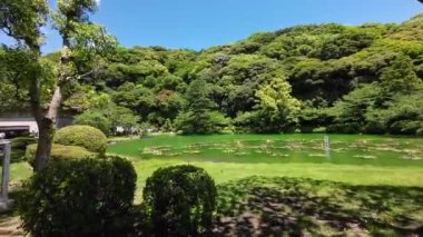 Japonya - 16 Mayıs 2024: Umi Jigoku, Beppu Büyüleyici Deniz Cehennemi Jeotermal Harikalar Diyarı