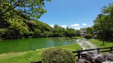Japonya - 16 Mayıs 2024: Umi Jigoku 'da Sera, Yufuin Jeotermal Harikaları Yetiştirme 