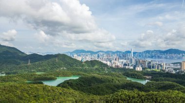 22 Haziran 2024 Kowloon, Kam Shan Şehir Parkı, Hong Kong