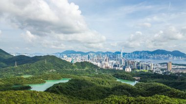 22 Haziran 2024 Kowloon, Kam Shan Şehir Parkı, Hong Kong