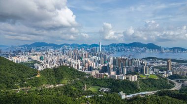 22 Haziran 2024 Kowloon, Kam Shan Şehir Parkı, Hong Kong