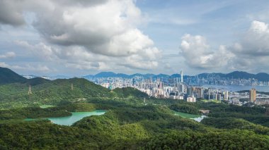 22 Haziran 2024 Kowloon, Kam Shan Şehir Parkı, Hong Kong