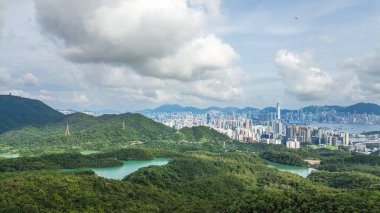 22 Haziran 2024 Kowloon, Kam Shan Şehir Parkı, Hong Kong