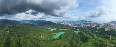 22 Haziran 2024 Kowloon, Kam Shan Şehir Parkı, Hong Kong