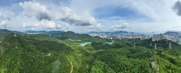 stock image June 22 2024 cityscape Kowloon, Kam Shan Country Park, Hong Kong