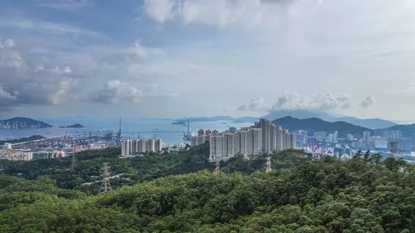 stock image June 22 2024 the Vibrant City Life in Tai Wo Shek Lei Tau District, hk