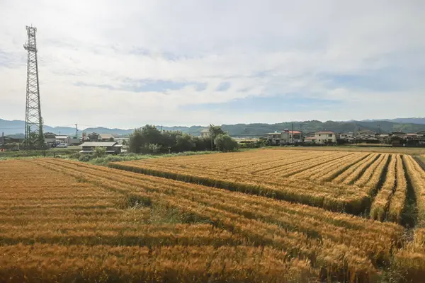 stock image Exploring Fukuoka Pastoral Charm. A Countryside Nagasaki May 15 2024