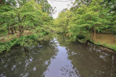 15 Mayıs 2024 Kinrin Gölü, Yufuin japan nehri.