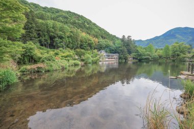 15 Mayıs 2024 Kinrin Gölü nehri, Yufuin japan